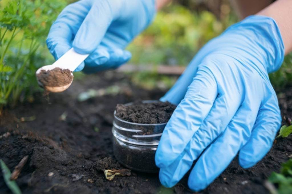 Soil quality audit service