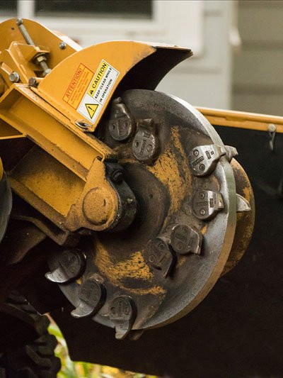 Stump Grinding FAQs: What You Need To Know About Stump Removal